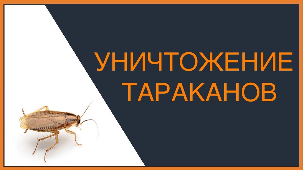 Уничтожение тараканов в Магнитогорске
